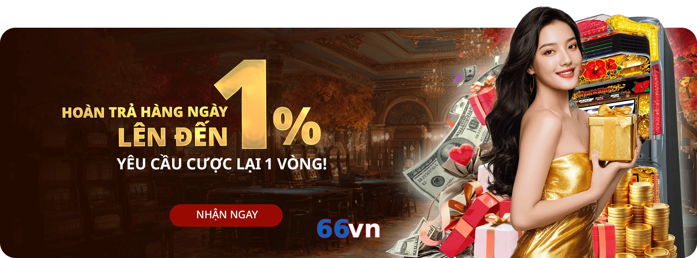 66vn
