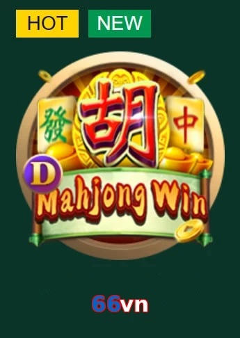 66vn